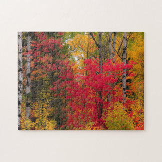 Puzzle L'automne au Canada.