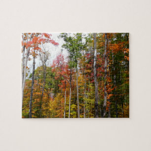 Puzzle L'automne dans la forêt Photographie d'automne col