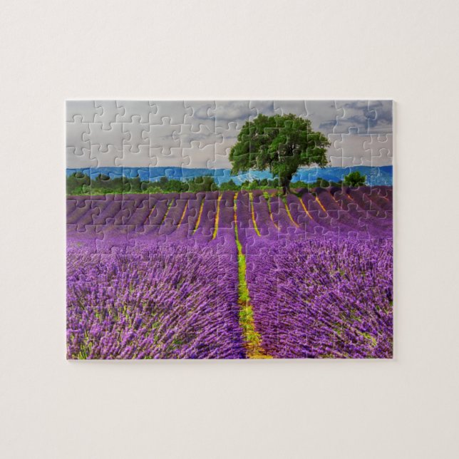 Puzzle Lavender Field pittoresque, France (Horizontal)