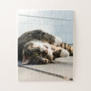 Puzzle Lazy Cat Lounge sur Porch