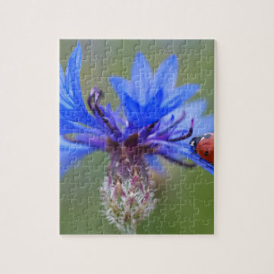 Puzzle Le bleu fleurit vigne d'art de destin d'amour de p