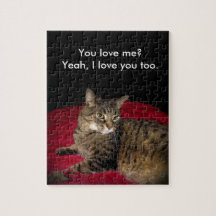 Le chat de la route 655