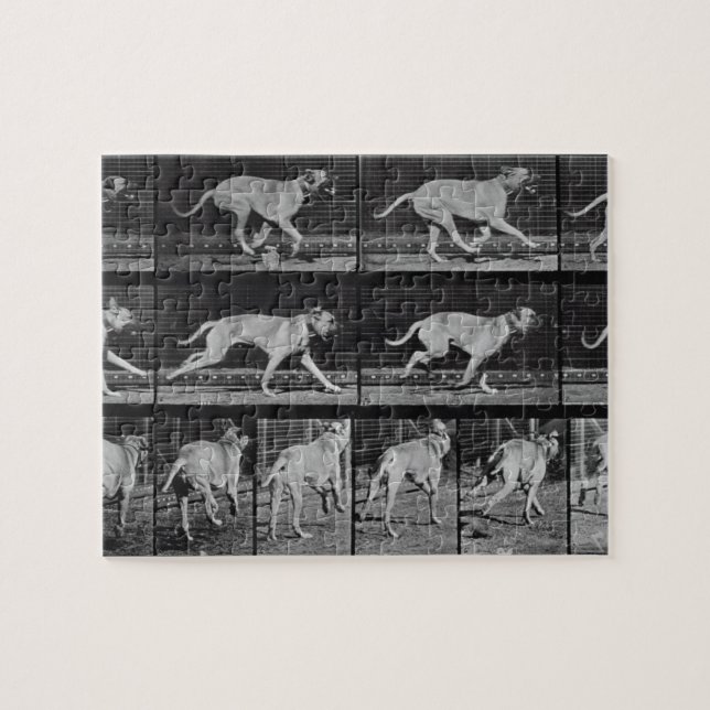 Puzzle Le chien courant, plaquent 707 "de la locomotion (Horizontal)