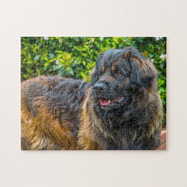Puzzle Le Chien Leonberger Élevait Jigsaw. (Horizontal)