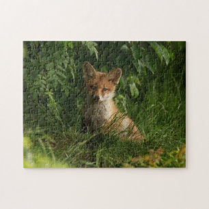 Puzzle Le chou renard dans une forêt verte