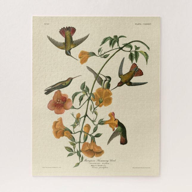 Puzzle Le colibri mangue des oiseaux d'Amérique d'Audubon (Vertical)