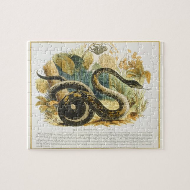 Puzzle Le constricteur de boa, pub. éducatif (Horizontal)