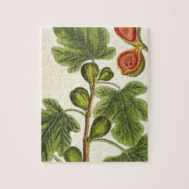 Puzzle Le figuier, plaquent 125 "d'un de fines herbes (Vertical)