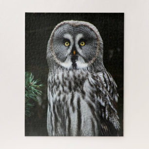 Puzzle Le grand hibou gris 16x20 520pc jpcna