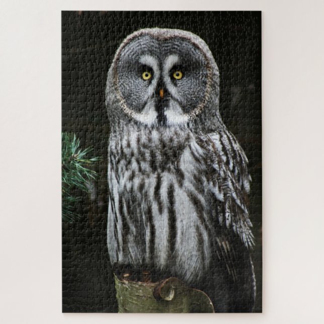 Puzzle Le grand hibou gris 20x30 1014pc jpcna (Vertical)