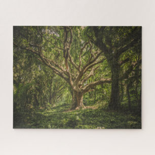 Puzzle Le grand vieux arbre dans la forêt