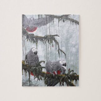 Puzzle Le gris africain Parrots voler librement