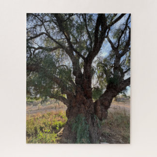 Puzzle Le Majestic Guardian : Arbre à poivre de Californi
