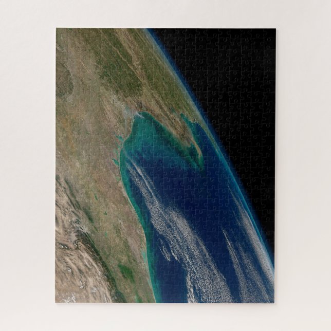 Puzzle Le Nord Du Golfe Du Mexique. (Vertical)