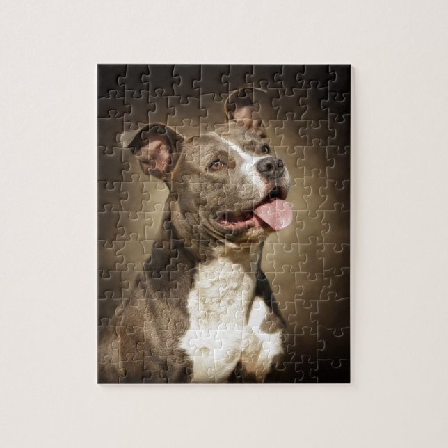Puzzle Le pitbull bleu américain (Vertical)