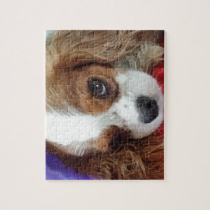 Puzzle Le Roi cavalier Charles Pretty