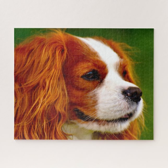 Puzzle Le roi Charles Spaniel Chien. (Horizontal)