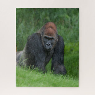 Puzzle Le royaume serein de Silverback