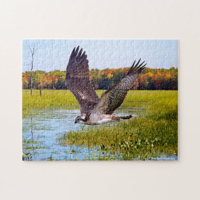 Puzzle "Le Seigneur Du Marais" (Horizontal)