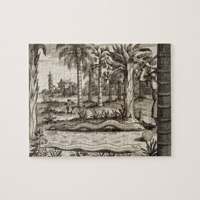 Puzzle Le serpent en pierre, de "Chine a illustré" par (Horizontal)