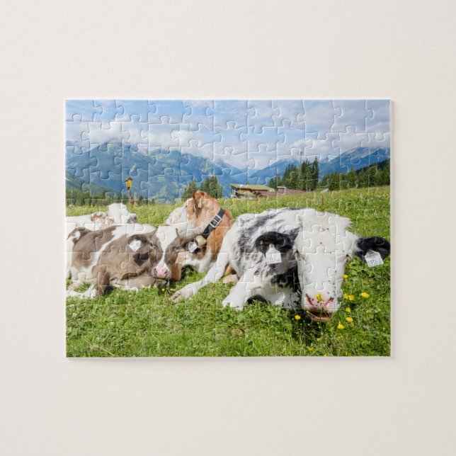 Puzzle Le Tyrol, Autriche (Horizontal)