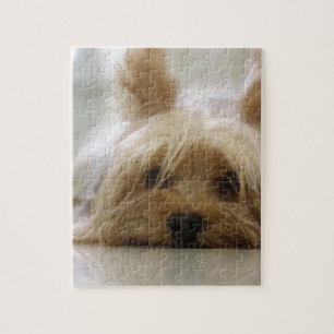 Puzzle le visage mignon de chien d'animal familier de