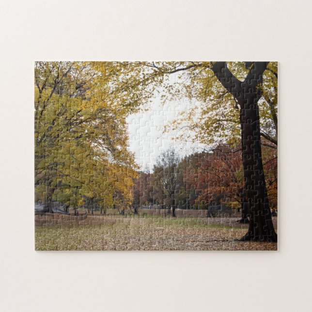 Puzzle Leaves d'automne à New York City Central Park NYC (Horizontal)