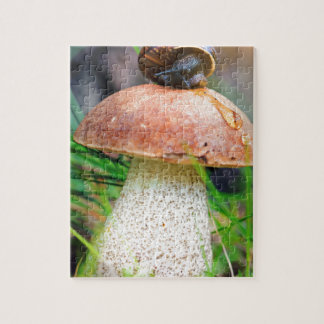 Puzzle Leccinum sur l'herbe avec escargot