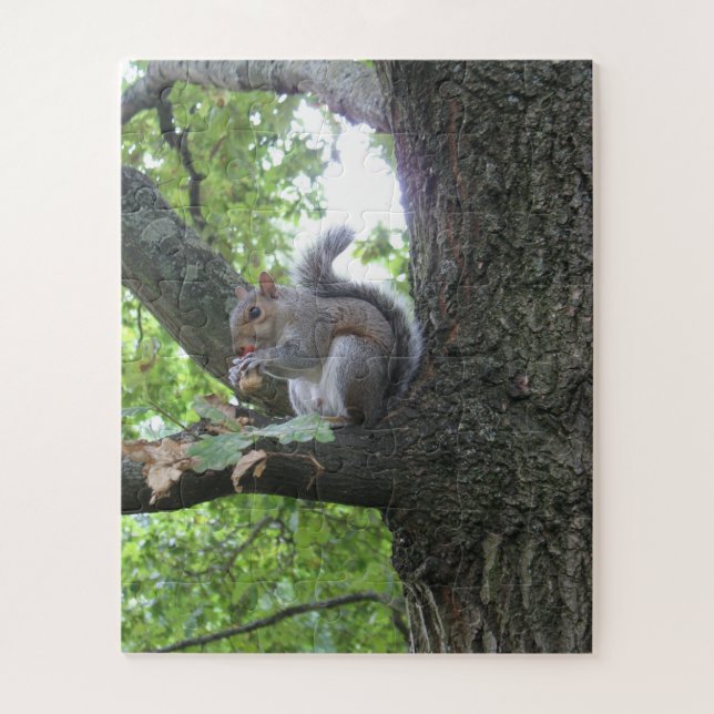 Puzzle L'écureuil gris mange une glande dans un chêne (Vertical)