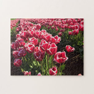 Puzzle Leen Van Der Mark Tulips, Oregon
