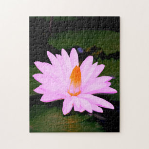 Puzzle L'effet Monet...