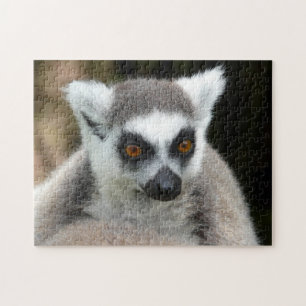 Puzzle lémur