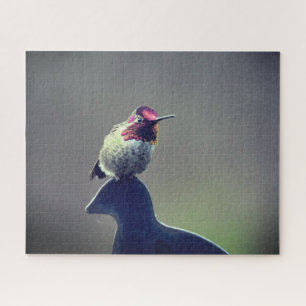 Puzzle L'énigme d'Anna, colibri