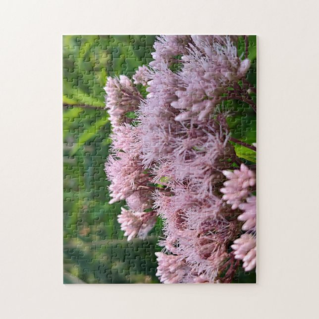 Puzzle Lentilles de mauvaises herbes roses (Vertical)