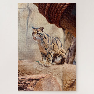 Puzzle léopard nébuleux image nature faune exotique