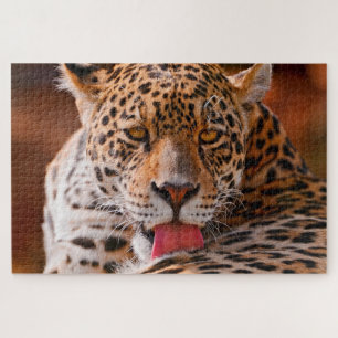 Puzzle Leopard nettoie ses pattes au sol