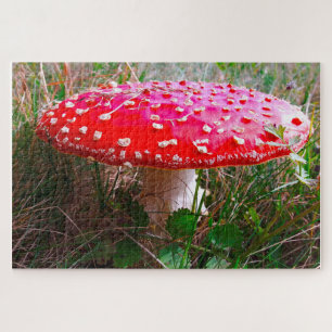 Puzzle Leprechauns où les petits vivent Irlande