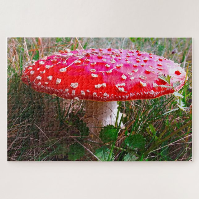 Puzzle Leprechauns où les petits vivent Irlande (Horizontal)