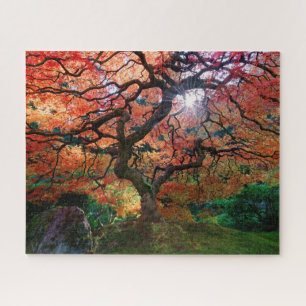 Puzzle L'érable d'automne dans le jardin japonais de Por
