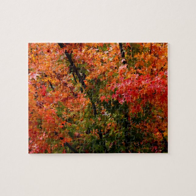Puzzle L'érable japonais à l'automne (Horizontal)