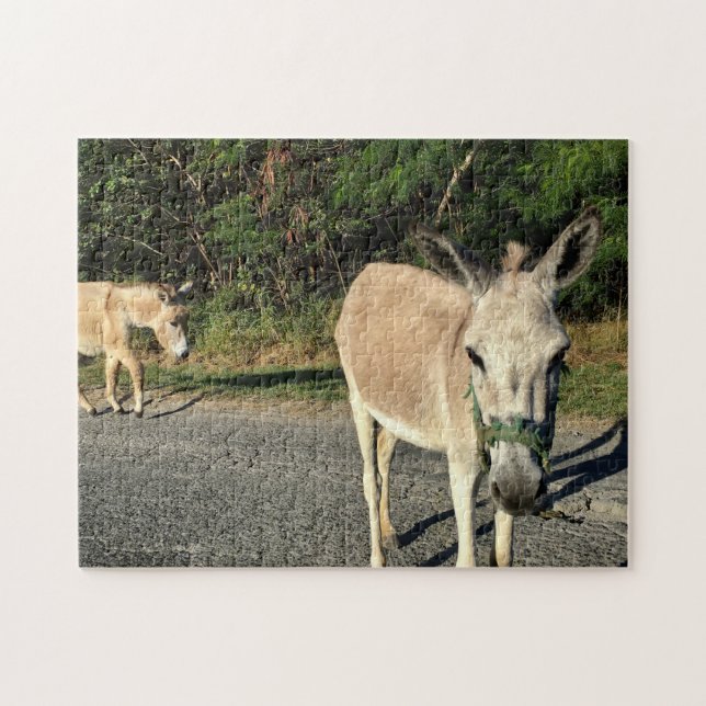 Puzzle Les ânes Brown Animaux Animaux Animaux Amusants (Horizontal)