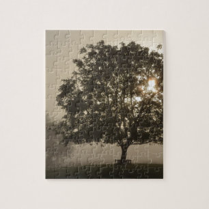 Puzzle Les arbres bruyants