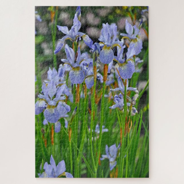 Puzzle Les beautés d'Iris (Vertical)
