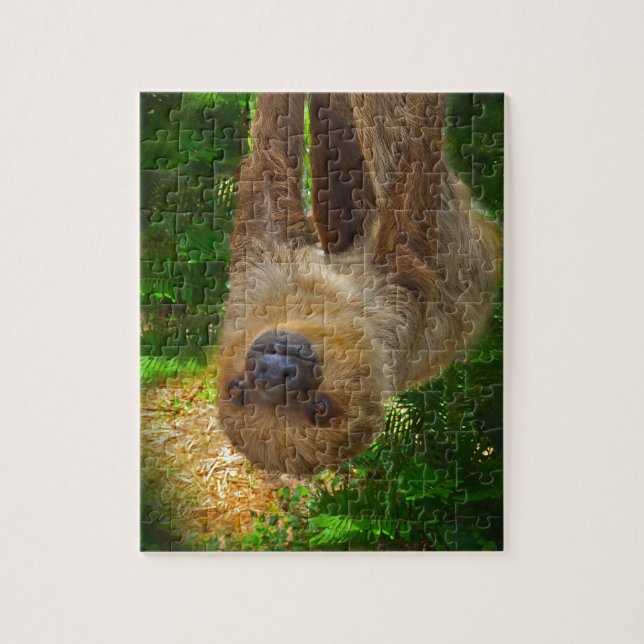 Puzzle Les cadeaux de Sloth Rainforest (Vertical)