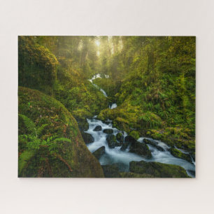Puzzle Les cascades Parc National Olympique, Washington