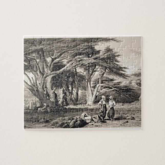 Puzzle Les cèdres du Liban, gravés par Freeman (sépia (Horizontal)