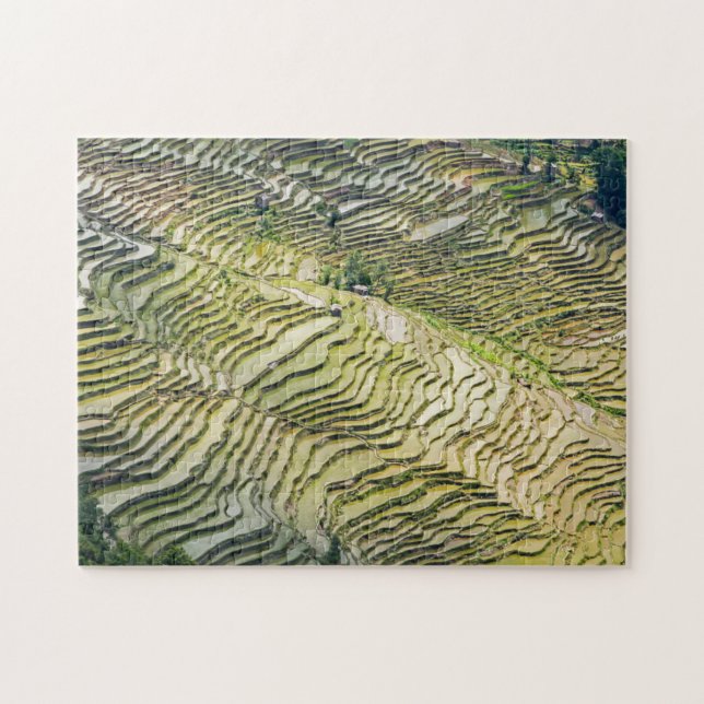 Puzzle Les célèbres terrasses de riz yuanyang - Yunnan, C (Horizontal)