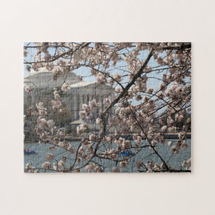 Puzzle Les Cerisiers en Fleur à Washington DC