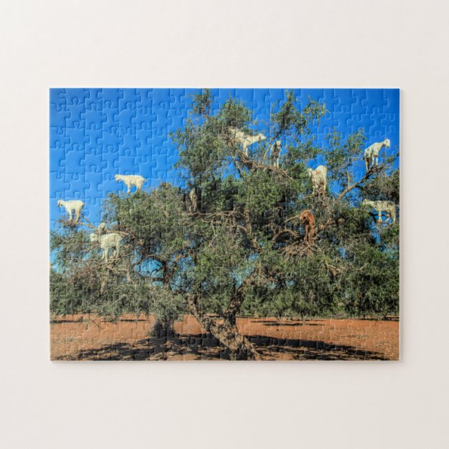 Puzzle Les chèvres marocaines dans les arbres Drôle (Horizontal)