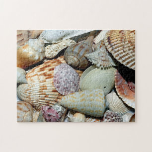 Puzzle Les coquillages rassemblés de la plage Sanibel Isl
